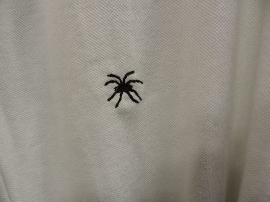 seventyfour spider1.JPG